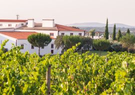 Lais Puzzle - Weingut Herdade das Servas in der Nähe von Estremoz, Bezirk Evora, Portugal - 100, 200, 500 & 1.000 Teile