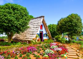 Lais Puzzle - Erstaunliche traditionelle Häuser in Santana, Madeira, Portugal. Die dreieckigen Holzhäuser sind ein Teil des portugiesischen Erbes. Vorgarten mit schönen bunten Blumen - 100, 200, 500 & 1.000 Teile