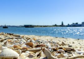 Lais Puzzle - Strand am Morgen, in Seixal, Portugal - 100, 200, 500 & 1.000 Teile