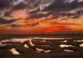 Lais Puzzle - Evros, Griechenland:  Sonnenuntergang im Delta des Flusses Evros, Thrakien, Griechenland. - 100, 200, 500 & 1.000 Teile