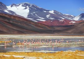 Lais Puzzle - Schwarze Lagune (Laguna Negra), Vulkan Pissis, Catamarca, Argentinien - 100, 200, 500, 1.000 & 2.000 Teile