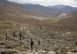 Lais Puzzle - Präkolumbianische Ruinen (Ruinas de Tastil) in der Puna, Salta, Argentinien - 100, 200, 500, 1.000 & 2.000 Teile