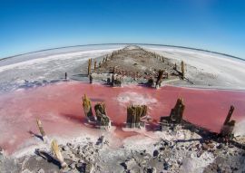 Lais Puzzle - Salzlagune, La Pampa, Argentinien - 100, 200, 500, 1.000 & 2.000 Teile