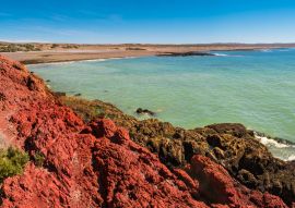 Lais Puzzle - Meeresküstenlandschaft von Punta Tombo, Patagonien, Argentinien - 100, 200, 500, 1.000 & 2.000 Teile