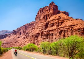 Lais Puzzle - Cafayates und seine Umgebung, die von der Nationalstraße 40 durchquert wird, sind berühmt für ihre Weinberge, ihre hervorragenden Weine und ihre Kellereien, in denen Jahr für Jahr Torrontés-Trauben wachsen. - 100, 200, 500, 1.000 & 2.000...