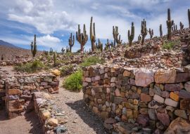 Lais Puzzle - Pukara von Tilcara, Argentinien - 100, 200, 500, 1.000 & 2.000 Teile