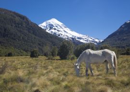Lais Puzzle - Südwand des Vulkans Lanin im Lanin-Nationalpark, Neuquén, Argentinien - 100, 200, 500, 1.000 & 2.000 Teile