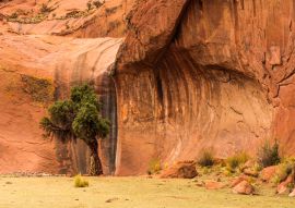 Lais Puzzle - Oase in der Inca Cueva in der Nähe von Humahuaca in der Provinz Jujuy im Norden Argentiniens. - 100, 200, 500, 1.000 & 2.000 Teile