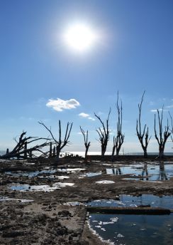 Lais Puzzle - Mar Chiquita, Córdoba, Argentinien - 100, 200, 500, 1.000 & 2.000 Teile