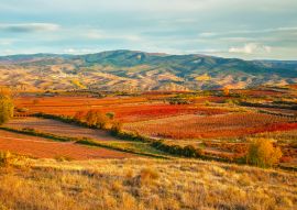 Lais Puzzle - Landschaft mit Weinbergen in La Rioja, Argentinien - 100, 200, 500, 1.000 & 2.000 Teile