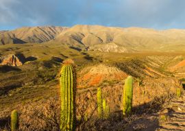 Lais Puzzle - Ruinen von Amaicha - Amaicha del Valle, Tucumán Argentinien - 100, 200, 500, 1.000 & 2.000 Teile
