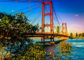 Lais Puzzle - Die Marcial-Candioti-Brücke, besser bekannt als die Hängebrücke von Santa Fe, ist eine Hängebrücke in der Stadt Santa Fe, Argentinien - 100, 200, 500, 1.000 & 2.000 Teile