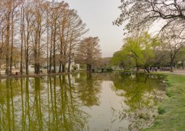 Lais Puzzle - 2 de Febrero Park Resistencia - Chaco - Argentinien - 100, 200, 500, 1.000 & 2.000 Teile