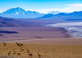 Lais Puzzle - Blick auf die hochgelegene Wüste in der Puna-Region von Salta, Argentinien - 100, 200, 500, 1.000 & 2.000 Teile