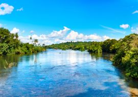 Lais Puzzle - Panoramablick vom Fluss Iguazu auf die Ufer des subtropischen Regenwaldes. Der Iguazu-Nationalpark liegt in der Provinz Misiones, Argentinien - 100, 200, 500, 1.000 & 2.000 Teile