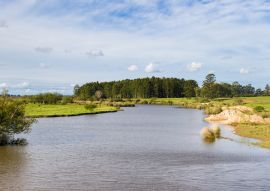 Lais Puzzle - Feldlandschaft mit Bach und Eukalyptusaufforstung in Federacion Entre Rios Argentinien - 100, 200, 500, 1.000 & 2.000 Teile