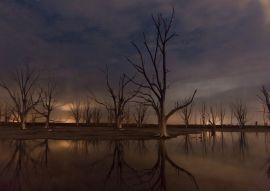 Lais Puzzle - Nachtaufnahme der Ruinen von Epecuen, die Sterne erhellen den Himmel in der Nähe der Stadt Carhue, Provinz Buenos Aires, Argentinien - 100, 200, 500, 1.000 & 2.000 Teile