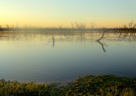 Lais Puzzle - Bañado la Estrella Formosa - 100, 200, 500, 1.000 & 2.000 Teile