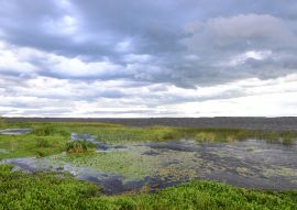 Lais Puzzle - Landschaft mit Fluss und blauem Himmel, Iberá-Feuchtgebiet (Spanisch: Esteros del Iberá ) Argentinien - 100, 200, 500, 1.000 & 2.000 Teile