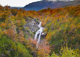 Lais Puzzle - Wasserfall an einer Straße in Patagonien. Irgendwo in der Straße "Siete lagos". Neuquén - Argentinien - 100, 200, 500, 1.000 & 2.000 Teile