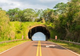 Lais Puzzle - Ein Blick auf den Ökodukt (eine Wildtierbrücke) an der Nationalstraße 101 in Argentinien (Provinz Misiones) - 100, 200, 500, 1.000 & 2.000 Teile