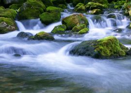 Lais Puzzle - Waldbach - 100, 200, 500 & 1.000 Teile