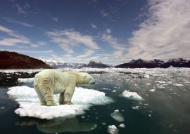 Lais Puzzle - Eisbär auf Scholle - 100, 200, 500 & 1.000 Teile