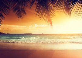 Lais Puzzle - Sonnenuntergang am Strand der Karibik - 100, 200, 500 & 1.000 Teile