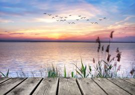 Lais Puzzle - Der See der bunten Nubes - 1.000 Teile