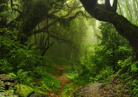 Lais Puzzle - Wolkenstein Nepal - 100, 200, 500 & 1.000 Teile