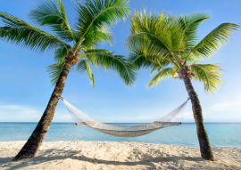 Lais Puzzle - Urlaub am Palmenstrand in der Karibik mit Hängematte - 100, 200, 500 & 1.000 Teile