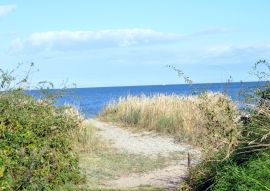 Lais Puzzle - Strand auf Samsø - 100, 200, 500 & 1.000 Teile