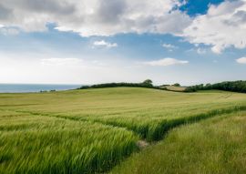 Lais Puzzle - Die Aussicht von Vejrhoej - Odsherred - 100, 200, 500 & 1.000 Teile