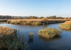 Lais Puzzle - Schöner Fluss Gudenaa bei Randers, Dänemark. Ruhiges Wasser, blauer Himmel. - 100, 200, 500 & 1.000 Teile