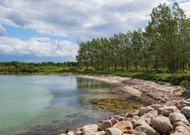 Lais Puzzle - Knudshoved Marina im Sommer. Hjejlevej, Nyborg, Dänemark - 100, 200, 500 & 1.000 Teile