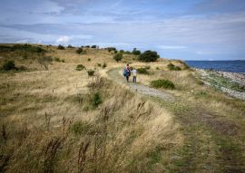 Lais Puzzle - Landschaft auf Fyns Hoved - 100, 200, 500 & 1.000 Teile