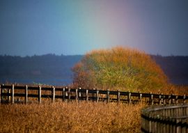 Lais Puzzle - Holzbrücke Skive Dänemark - 100, 200, 500 & 1.000 Teile