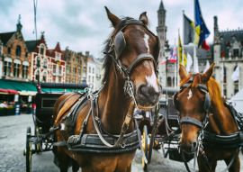 Lais Puzzle - Pferdekutschen in Brügge, Belgien - 100, 200, 500 & 1.000 Teile