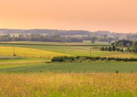 Lais Puzzle - Sonnenuntergang über einer grünen Landschaft mit Schafen und einem kleinen Dorf im Frühling. Tienen, Flandern Belgien - 100, 200, 500 & 1.000 Teile