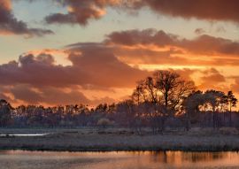 Lais Puzzle - Schöner roter Sonnenuntergang in einem Feuchtgebiet, Turnhout, Belgien - 100, 200, 500 & 1.000 Teile
