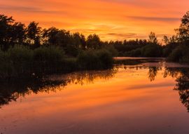 Lais Puzzle - Sonnenuntergang im Nationalpark in der Nähe von Waterschei in Genk, Belgien, mit erstaunlichen Farben am Himmel. Der Park ist ein ehemaliges Bergbaugebiet mit fantastischen Aussichten - 100, 200, 500 & 1.000 Teile