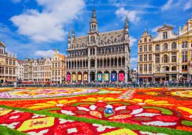 Lais Puzzle - Brüssel, Belgien. Blumenteppich-Festival 2018 - 100, 200, 500 & 1.000 Teile