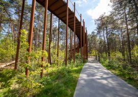 Lais Puzzle - Fahrrad in den Bäumen in Lommel Belgien Flandern - 100, 200, 500 & 1.000 Teile