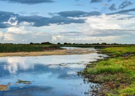 Lais Puzzle - Flusslandschaft des Shannon, Grafschaft Offaly, Irland - 100, 200, 500 & 1.000 Teile