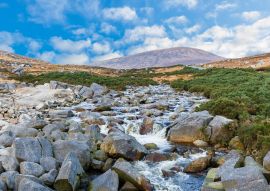 Lais Puzzle - Schöne irische Landschaft in den Wicklow-Bergen - 100, 200, 500 & 1.000 Teile