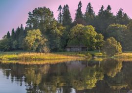 Lais Puzzle - Haus im Wald von Killykeen, Forest Park, in Cavan, Irland - 100, 200, 500 & 1.000 Teile