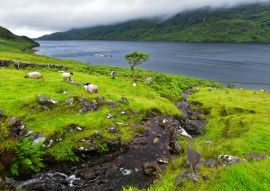 Lais Puzzle - Killary Harbour, Irland - 100, 200, 500 & 1.000 Teile