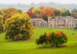 Lais Puzzle - Zurück in die Vergangenheit: unter einem grauen Himmel an einem herrlichen Herbstmorgen, allein in einem Park, der nur von Rehen, Pferden und Kühen begleitet wird, Lough Fea, Carrickmacross, County Monaghan, Irland - 100, 200, 500 & 1.000...