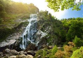Lais Puzzle - Majestätische Wasserkaskade des Powerscourt-Wasserfalls, des höchsten Wasserfalls in Irland - 100, 200, 500 & 1.000 Teile