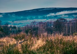 Lais Puzzle - Die Slieve Bloom Mountains, Irland - 100, 200, 500 & 1.000 Teile